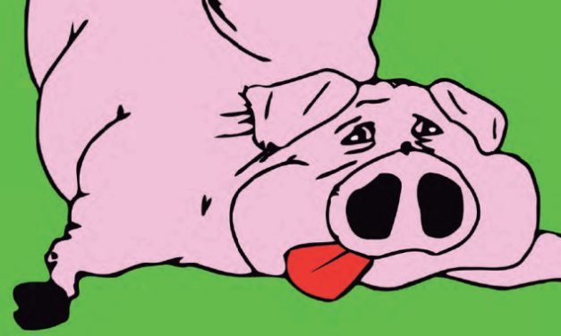 ¡YA LLEGA SAN MARTIN!