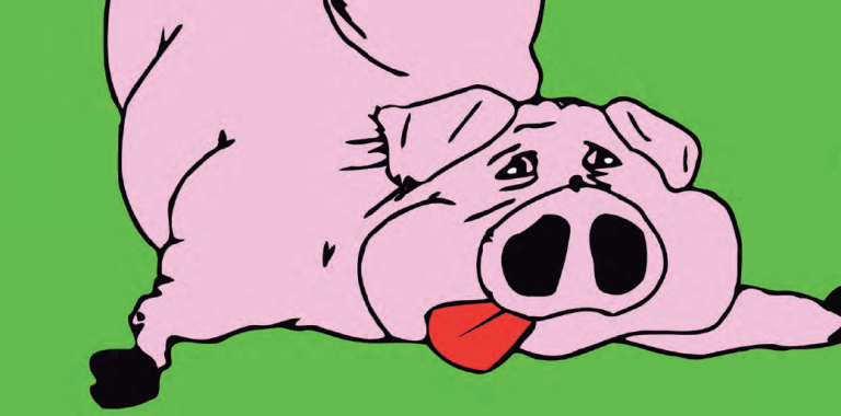 ¡YA LLEGA SAN MARTIN!